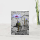 Search for waterlily thank you cards Flower