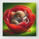 Search for mouse clocks Sweet