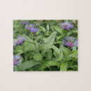 Search for cornflower puzzles Floral