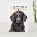 Search for flat coated cards Pets