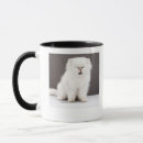 Search for sad cat mugs Animals