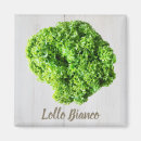 Search for lettuce magnets Kitchen