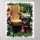 Search for rottweilers art Pets
