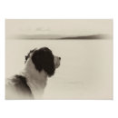 Search for black spaniel art Cute