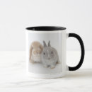 Search for netherland dwarf mugs Curiosity