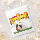 Search for pig birthday Trendy
