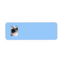 Search for siamese cats return address labels Blue