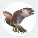 Search for falconry stickers Falconer