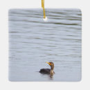 Search for bird christmas tree decorations Wildlife