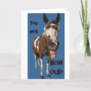 Search for funny horse birthday cards Old