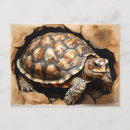 Search for leg horizontal postcards Animal