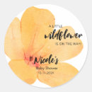 Search for orange stickers Wildflower