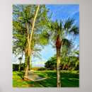 Search for hammock posters Tropical