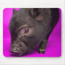 Search for pig pic mouse mats Animal