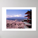 Search for cherry blossom art Temple