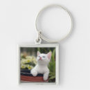 Search for kitten key rings Playing
