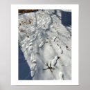 Search for footprint posters Snow