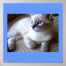 Search for kitty kid art Blue