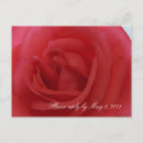 Search for matching rsvp invitations Floral