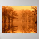 Search for joanne art Fog