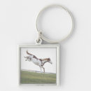 Search for horse jumping key rings Wildlife