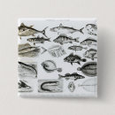 Search for fish badges English