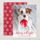 Search for one photo christmas cards Typography