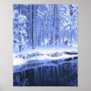 Search for conifer posters Blue