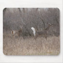 Search for white tailed deer mouse mats Outdoors