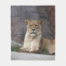Search for lioness blankets Wildlife