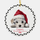 Search for maltese dog christmas tree decorations White