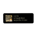 Search for stones return address labels Pebbles