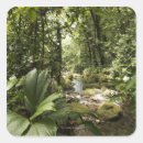Search for rainforests stickers Caribbean