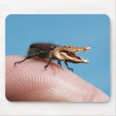 Search for crocodile mouse mats Funny