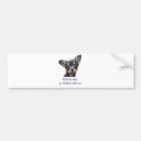 Search for i love my dog bumper stickers Funny