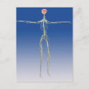 Search for extended postcards Digitally generated image