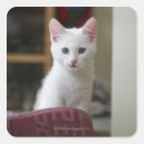 Search for animal body part stickers Surprise