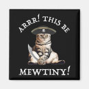 Search for pirates magnets Pun