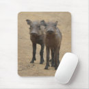 Search for young animal mouse mats South africa