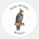Search for amazon stickers Bird