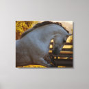 Search for andalusian horse art Spanish