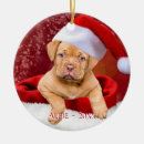 Search for pitbull christmas tree decorations Pet