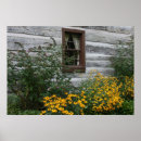 Search for cabin wall posters Photography