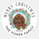 Search for christmas dachshund stickers Doxie