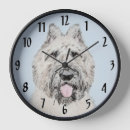 Search for des clocks Bouvier des flandres