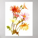 Search for gerbera daisy posters Yellow
