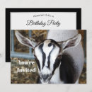 Search for baby goat invitations Kid