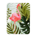 Search for flamingos magnets Tropical