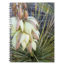 Search for chuck notebooks Macro