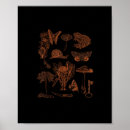 Search for cot posters Forest